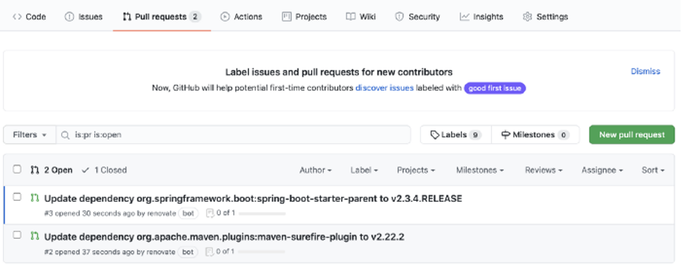 A screenshot of the pull request.
